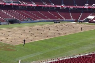 49ers workers re-sod Levi's Stadium.