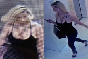 A Thai tourist got duped by this busty blond after she got him drunk and then took him up to his hotel room at the Hyatt of Times Square, authorities said.