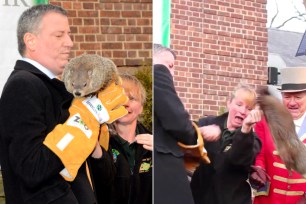 Mayor Bill de Blasio with groundhog