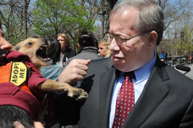 A pooch howls as Comptroller Scott Stringer leads an Upper West Side press conference on the state of city-funded animal shelters Sunday.