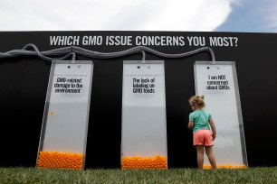 A child views a display that uses orange balls to register people's opinions on GMOs at the Cultivate Festival in Kansas City, Mo. on July 23.