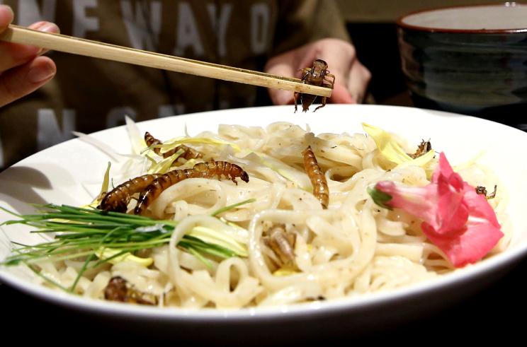 A customer eats an 'Insect tsukemen' ramen noodle topped with fried worms and crickets at 'Ramen Nagi' restaurant in Tokyo