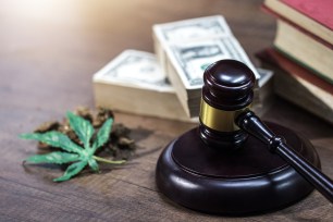 A stock photo of a gavel next to money and cannabis