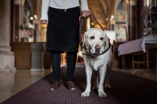 Little girl brings dog in church.