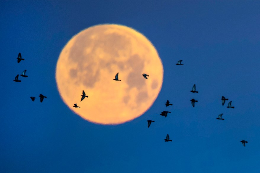 The super snow moon seen around the world