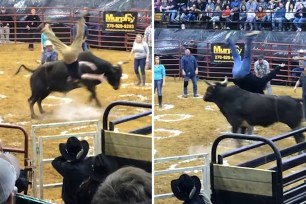 'Bull Pinball' Is The Dumbest Way To Win $100