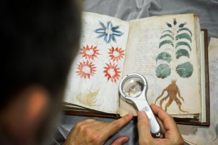 The Voynich manuscript.