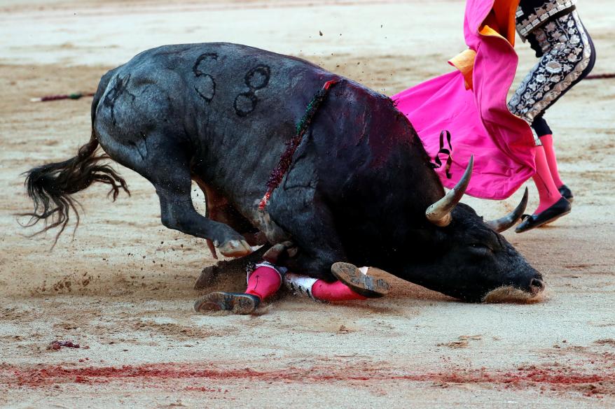 Spanish bullfighter Octavio Chacon is tackled by a bull during the last bullfight of the San Fermin festival in Pamplona, Spain, July 14, 2019.