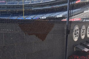 NYPD’s two-man beekeeping unit had to removes these bees at Yankee Stadium.