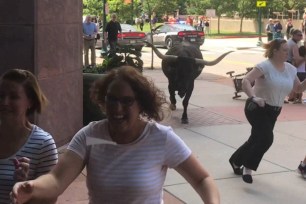 Rodeo longhorn breaks loose and goes on rampage through city