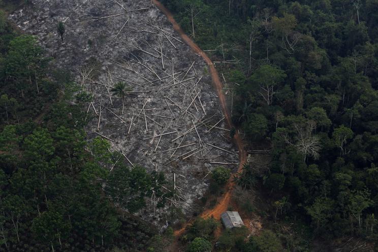 An aerial view of a deforested plot of the Amazon at the Bom Futuro National Forest in Porto Velho, Rondonia State, Brazil.