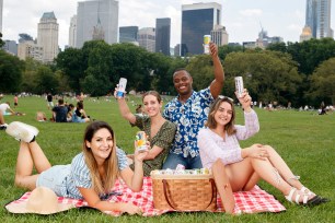 Hard seltzers are fizzing up picnics and parties this summer.