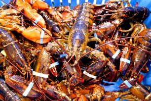 Thief hijacks van of lobsters, crashes into another lobster truck