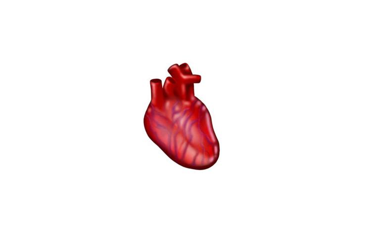 Anatomically-correct heart emoji approved for 2020