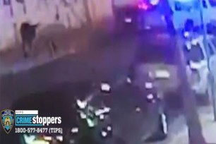 Video obtained by The Post shows the moment a cop-hating thug brazenly opened  fire at two on-duty officers in the Bronx