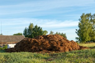 Swedish city Lund dumping manure in park to deter visitors amid coronavirus