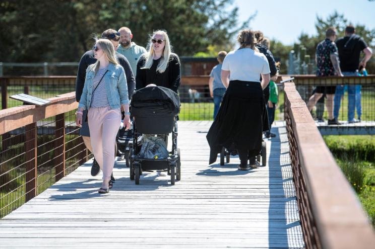 People visit the Blaavand Zoo, after it reopened to the public, in Jutland, Denmark.