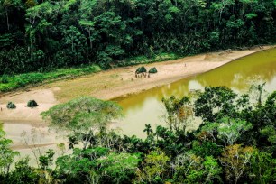 An aerial view of indigenous people gathered by a riverbank in the Peruvian Amazon.