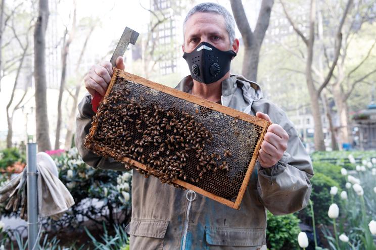 Urban beekeeper Andrew Coté of Andrew’s Honey checks out a pair of hives in Bryant Park last month.