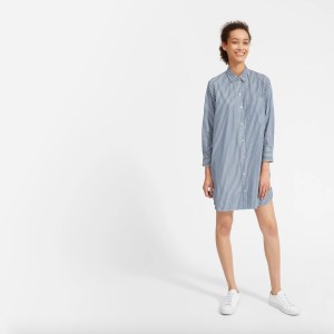 Everlane The Cotton Shirtdress