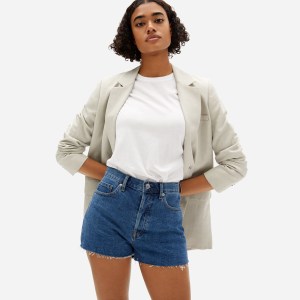 Everlane The Cheeky Denim Short