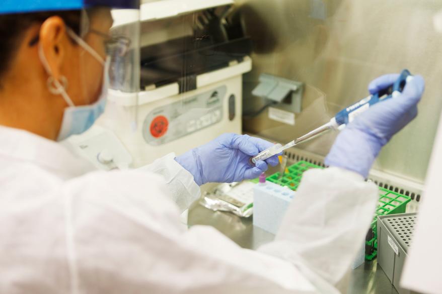 A medical technologist processes samples for the coronavirus at the AdventHealth Tampa labs in Tampa, Florida.