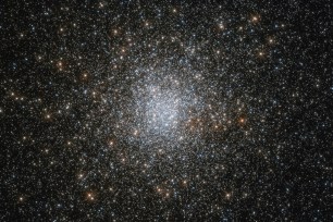This rich and dense smattering of stars is a massive globular cluster, a gravitationally-bound collection of stars that orbits the Milky Way.