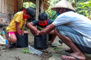 Pupils and their father plant chillies in polybags as a part of a process to ensure education for students in remote areas without internet access and cellular signal, during the coronavirus disease (COVID-19) outbreak in Magelang, Central Java Province, Indonesia.