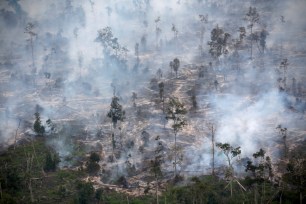 Smoke covers forest during fires in Kapuas regency near Palangka Raya in Central Kalimantan province, Indonesia.