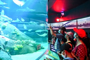 Hundreds packed the New York Aquarium in Coney Island after it was shut down due to the coronavirus pandemic earlier this year.