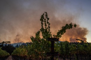 A vineyard is seen in the foreground as smoke rises from the Bothe-Napa Valley State Park from the Glass Fire in Calistoga, California.