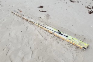 Possible debris from flight MH370 has appeared on a beach in Australia