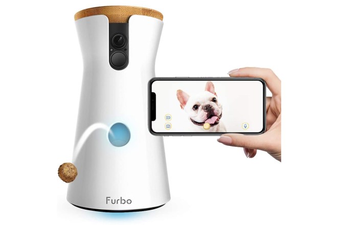 A Furbo dog treat dispenser throws a treat and a smartphone is in the foreground 