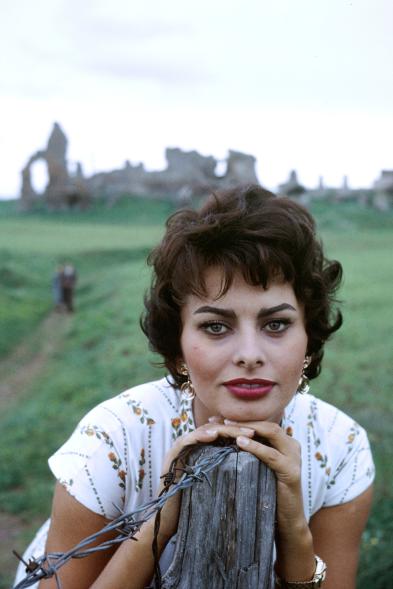 An undated portrait of Sophia Loren.