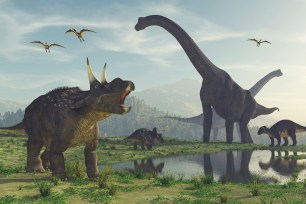 Dinosaur rendering