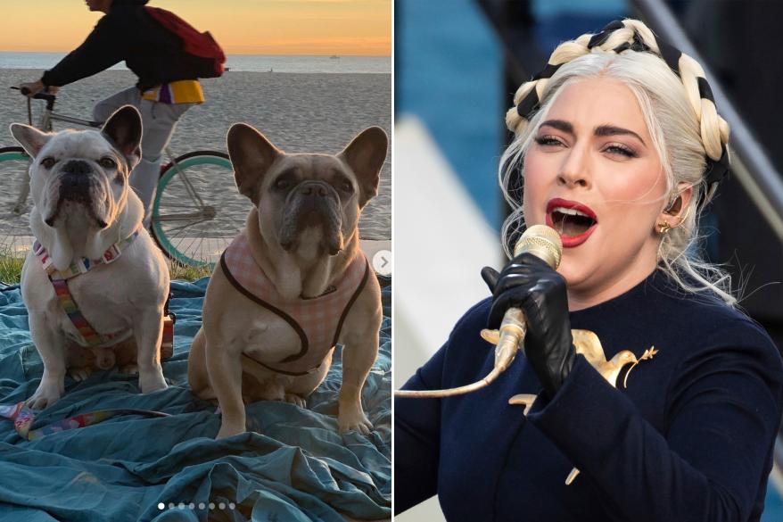 Lady Gaga's two French bulldogs, Koji and Gustav, have been safely recovered after they were stolen, according to the LAPD.