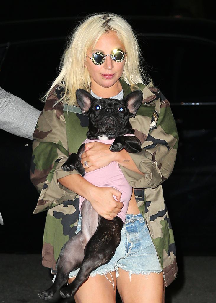 Lady Gaga's dog walker was shot in the chest four times in Los Angeles.