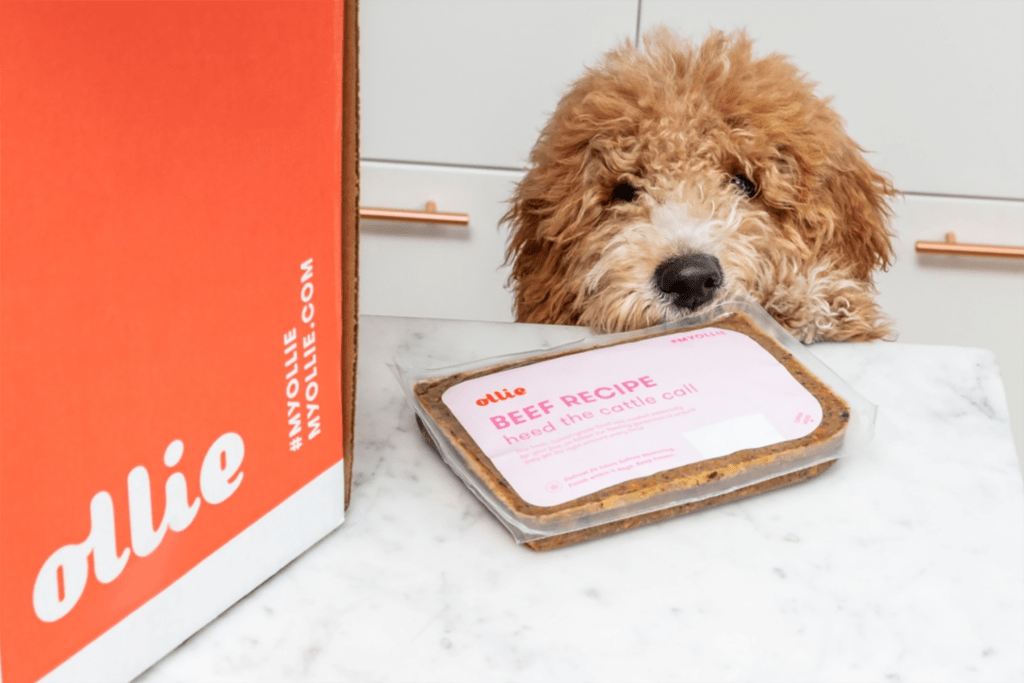 An orange box and a dog with a plate of pet food