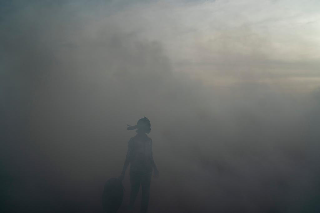 A woman working on a fish processing site walks through the thick smoke coming from burning peanut shells used to cure fish on Bargny beach, some 35 kilometers (22 miles) east of Dakar, Senegal, Wednesday April 21, 2021.