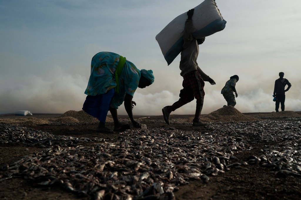 Ndeye Yacine Dieng, left, spreads the fish on the ground before processing it on Bargny beach, some 35 kilometers (22 miles) east of Dakar, Senegal, Wednesday April 21, 2021. 