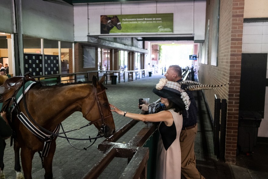 People meet a race horse at the Belmont Stakes in Queens, NY, on June 5, 2021.