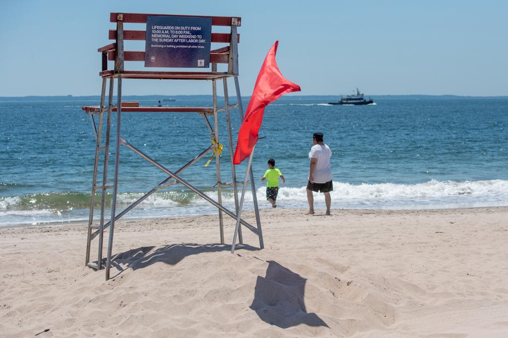 Lifeguard trainers argue the pandemic has made potential guards less fit for the job.