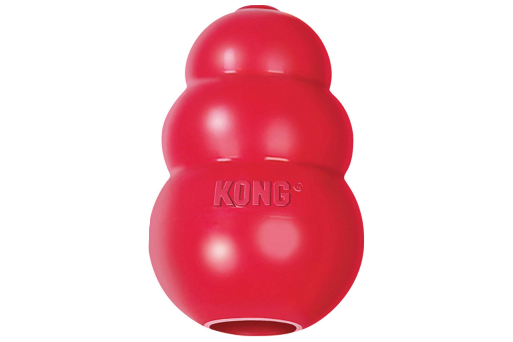 A red Kong dog toy 