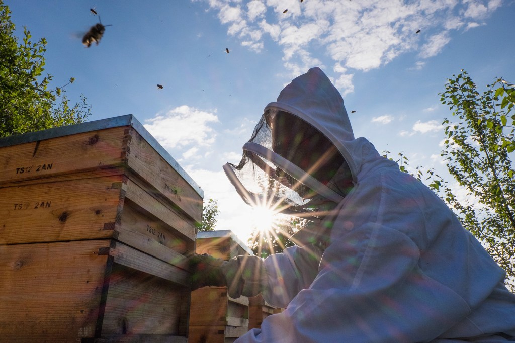 "I found healing properties in honey that benefit me and my children," she said.