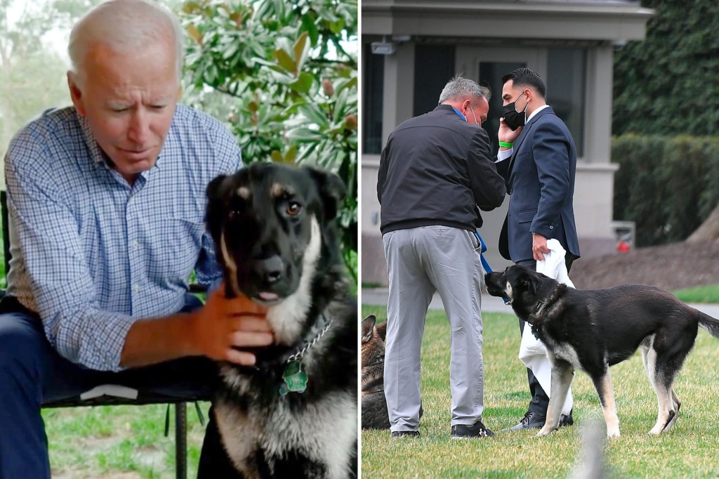 Biden and dog Major, Secret Service