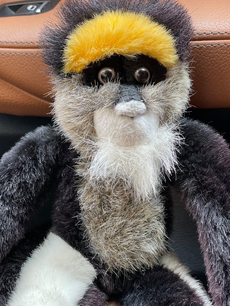 On September 11, 2001, Abe Wachsman had driven to his office in the financial district of New York City. As the horrors of the terrorist attacks unfolded that morning, Wachsman piled strangers in his car to bring them to safety and this monkey was left behind in his car. 