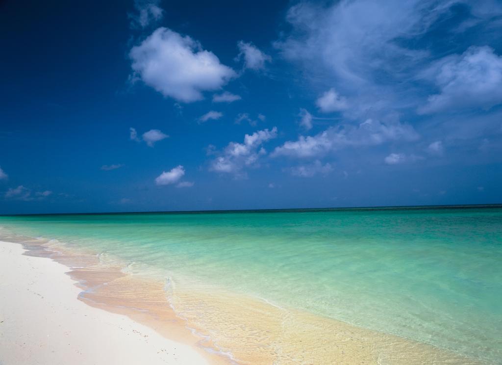 A beach on Parrot Cay.