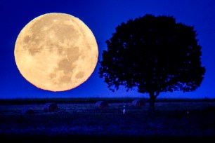 The night sky will be aglow with a full moon Wednesday in the opposite sign of Aries. Read on to discover how the full moon will affect your sign.