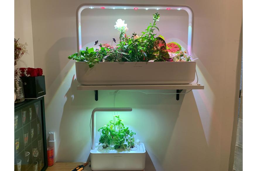 Two Click and Grow gardens with basil on the bottom and flowers on top