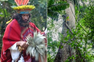 A side by side of a shaman and a South American rainforest.